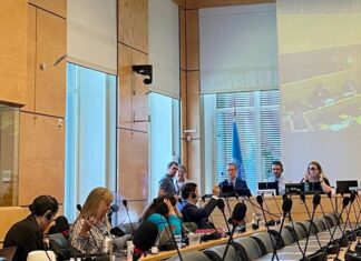 Brasil participa da 138ª Sessão do Comitê de Direitos Humanos da ONU