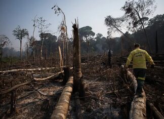 ONU: clima está mudando mais rápido do que o previsto
