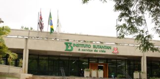 Butantan se prepara para testar vacina contra gripe aviária em humanos