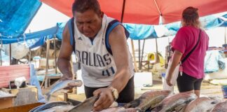 Produtores brasileiros começam a sentir efeitos da taxação dos EUA