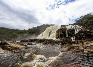 Sistema Nacional de Unidades de Conservação da Natureza faz 25 anos