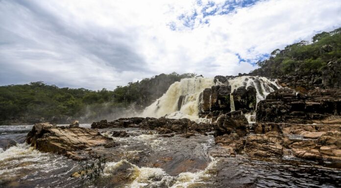 Sistema Nacional de Unidades de Conservação da Natureza faz 25 anos