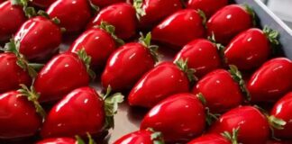 Festival do Morango movimenta Itapevi com três dias de gastronomia, cultura e diversão
