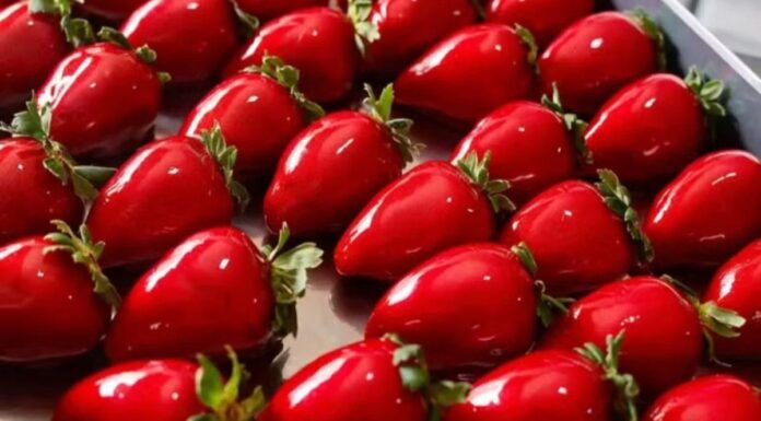 Festival do Morango movimenta Itapevi com três dias de gastronomia, cultura e diversão