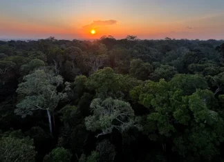 Começa hoje em Brasília a 5ª Conferência Nacional do Meio Ambiente
