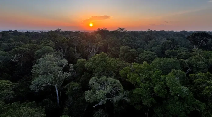 Começa hoje em Brasília a 5ª Conferência Nacional do Meio Ambiente