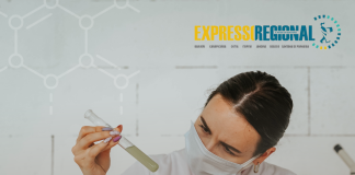 11/2 Dia Internacional das Mulheres na Ciência