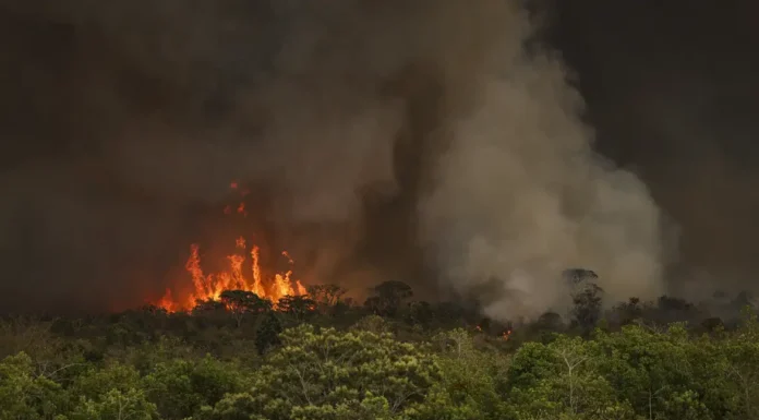 Queimadas fazem desmatamento crescer 92% na Amazônia
