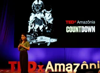 Preservar a Amazônia é questão de segurança nacional, diz especialista
