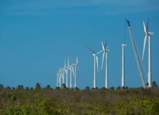 BB assina acordo de US$ 700 milhões para exportações e energia limpa