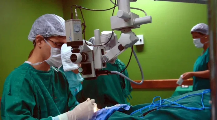 Câncer de intestino que vitimou Preta Gil é o 3º mais comum no país