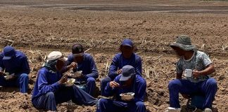 Operação resgata uruguaios de trabalho análogo à escravidão em Minas