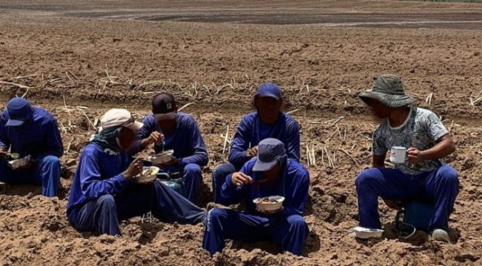 Operação resgata uruguaios de trabalho análogo à escravidão em Minas