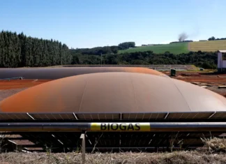 Itaipu e Receita Federal fazem contrabando virar energia limpa