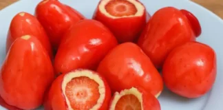 Conselho Federal de Odontologia alerta sobre riscos do morango do amor