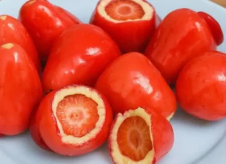 Conselho Federal de Odontologia alerta sobre riscos do morango do amor