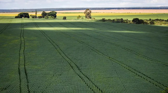 COP30: agro quer se posicionar como parte da solução, diz associação