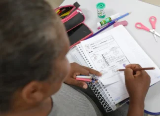 Inserção no mercado de trabalho tende a melhorar habilidade de leitura