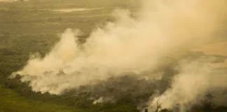 Moradores do oeste paulista recebem alerta de tempo seco por celular