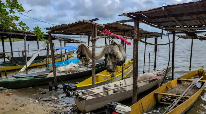 Início do defeso da piracema restringe pesca comercial no país