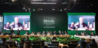 BNDES lança plataforma para acompanhar ações do Fundo Clima