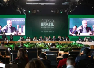 BNDES lança plataforma para acompanhar ações do Fundo Clima