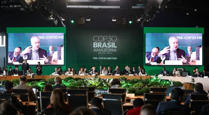BNDES lança plataforma para acompanhar ações do Fundo Clima