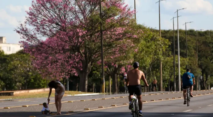 Dois terços dos brasileiros moram em ruas arborizadas