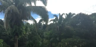 Projeto de licenciamento ambiental é grande retrocesso, diz ministério