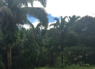 Projeto de licenciamento ambiental é grande retrocesso, diz ministério