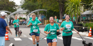 10ª edição da SP Dog Run acontece neste fim de semana no SP Market