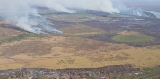 Amazônia: alerta de desmatamento cresce e mobiliza governo