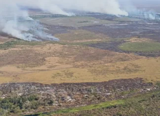 Amazônia: alerta de desmatamento cresce e mobiliza governo