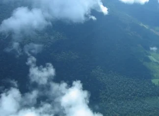 Petrobras comprará R$ 450 milhões em créditos de carbono na Amazônia
