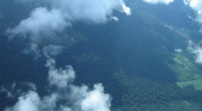 Petrobras comprará R$ 450 milhões em créditos de carbono na Amazônia