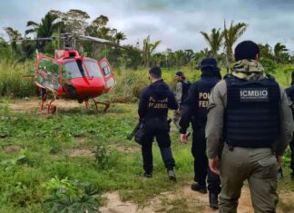 Pesquisa traça conexões entre narcotráfico e crimes ambientais no país