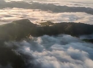 Buscas por helicóptero desaparecido em São Paulo chegam ao oitavo dia