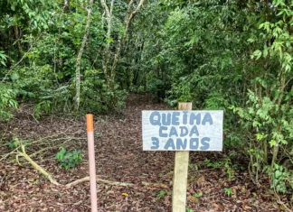 Laboratório a céu aberto permite pesquisas sobre queimadas