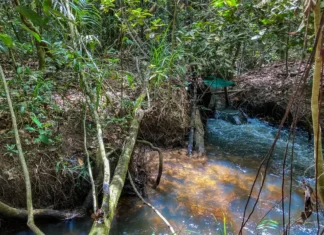 Pesquisa de longo prazo aponta impacto ambiental da agricultura