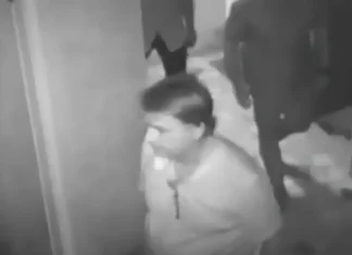PGR envia ao STF manifestação sobre Bolsonaro na Embaixada da Hungria