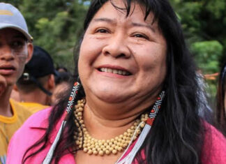 Deputada federal Joênia Wapichana indígena chefiará Funai