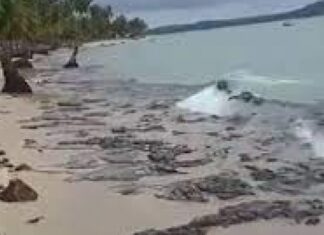 Duas toneladas de óleo são retiradas de praias em Pernambuco
