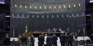 Câmara aprova PL que amplia assistência às gestantes e parturientes