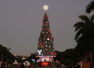 Parque Villa-Lobos, em SP, exibe árvore de Natal com 52 m de altura