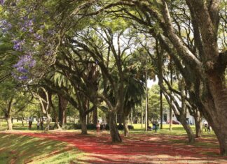 Parques estaduais de SP voltam a funcionar em horário normal