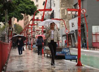 Bairro paulistano recebe festival Toyo Matsuri neste fim de semana