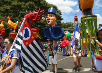 Reprodução/ TV BrasilCarnaval de rua de São Paulo bate recorde, com 767 blocos inscritos