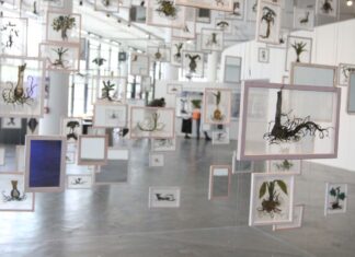 Bienal de São Paulo abre hoje com Coreografias do Impossível