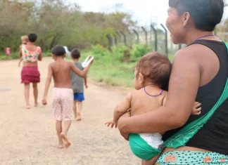 Mortalidade por câncer é maior entre crianças indígenas, diz estudo