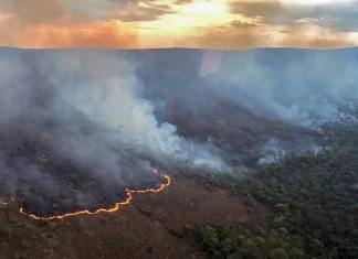 Brasil concentra 76% dos incêndios na América do Sul